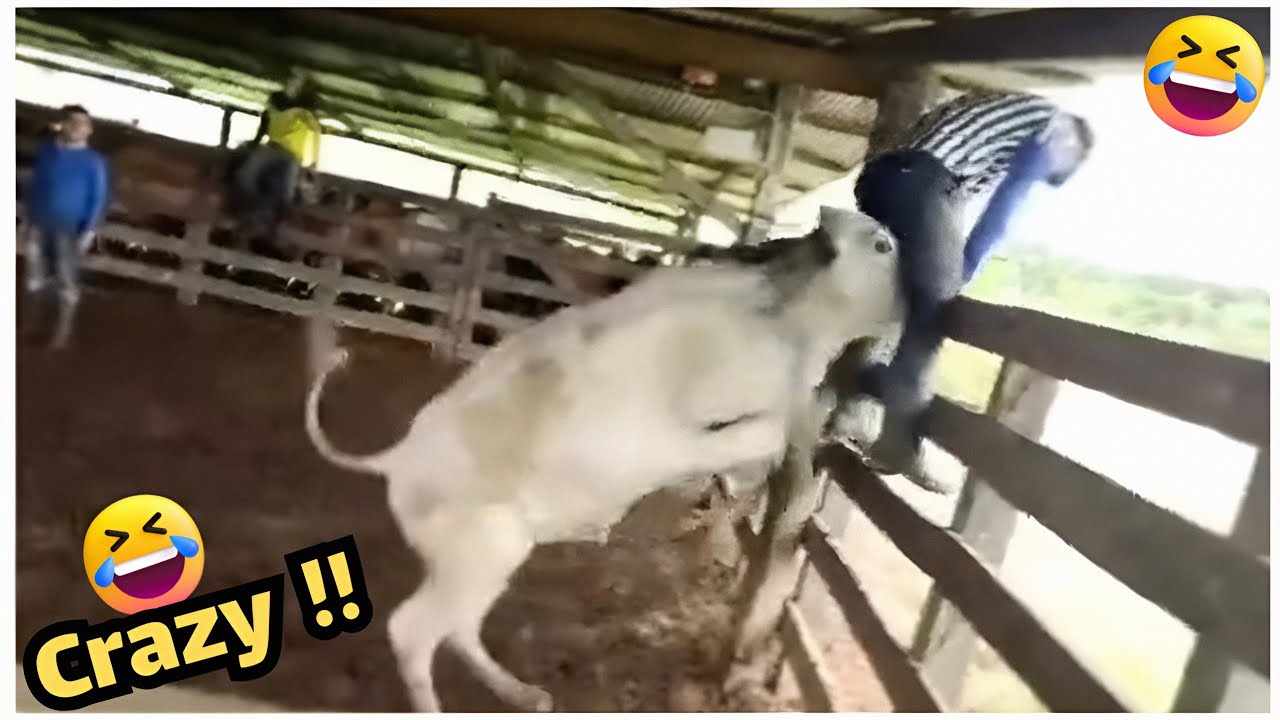 أطرف مقاطع الشهر #88 - حياة أشخاص مضحكة حاول ألا تضحك 😂🤣🔥