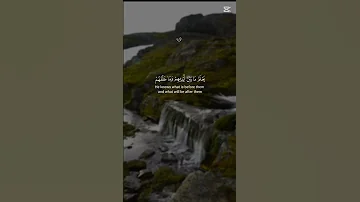 الرحمن المصحف لايك لا اله الا الله محمد رسول الله 