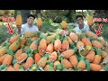 500kg pineapple  yummy pineapple juice making  pineapple cutting skill  village food