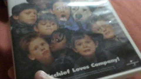 DVD Collections in a Nutshell (Version 10)