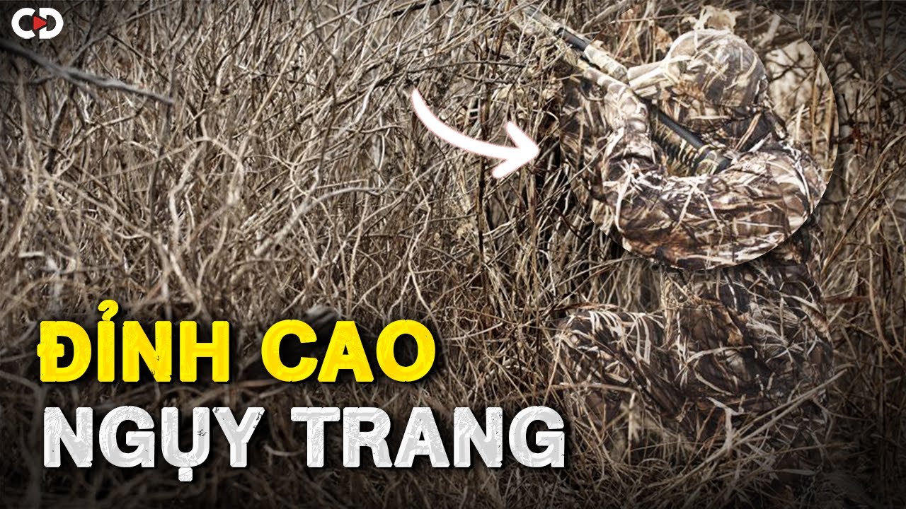 Khi Bụi Cỏ Biết Nói: Nghệ Thuật Ngụy Trang Của Bộ Đội Việt Nam