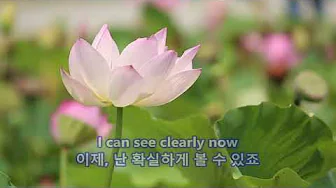 I Can See Clearly Now - Johnny Nash: with Lyrics(가사번역) I Can See Clearly Now - Johnny Nash: with Lyrics(가사번역)