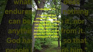 Ecclesiastes 3:14"  #shorts #spiritual #sacredscriptures #affirmations #soulful #religion #Bible