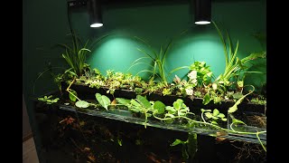 Akwaroim 153L, Ameryka Południowa