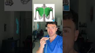 Doctor Explains Chest Muscle Tears