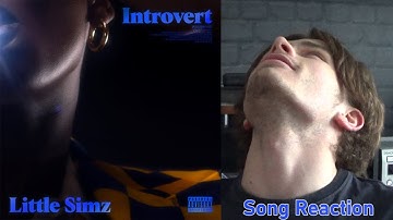Little Simz - Introvert | SONG REACTION/REVIEW