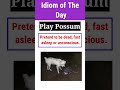 #282 "PLAY POSSUM" | Idioms &amp; Phrases | Word Power #playpossum