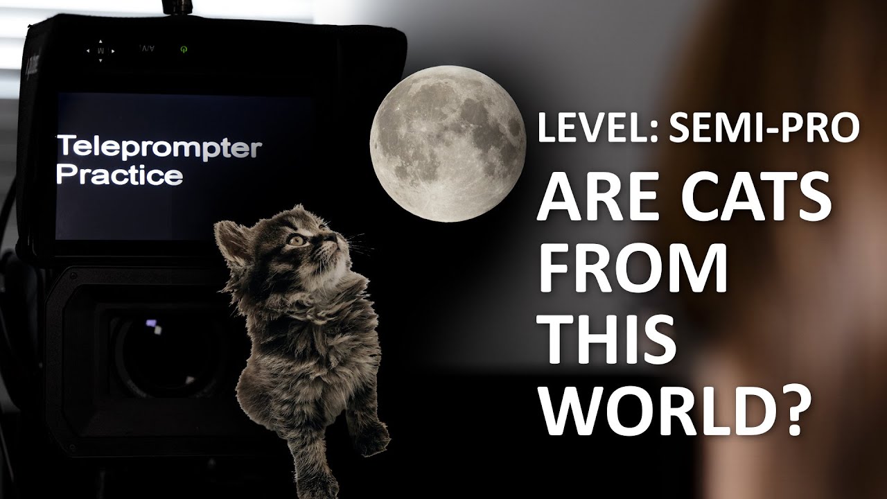 Teleprompter Practice - Semi Pro - Are Cats from this world?