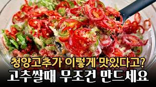 청양고추 이렇게 만들어 보세요! 고추청 만능고추간장 이 영상 하나로 끝