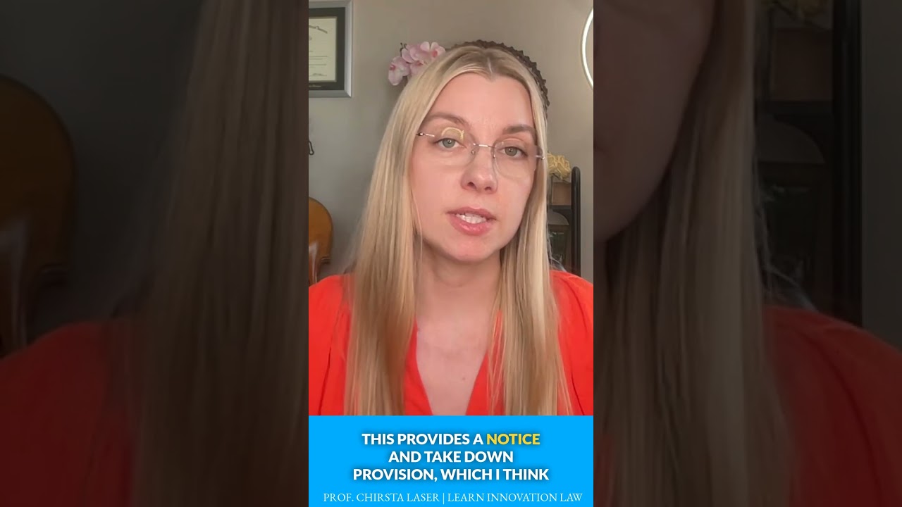 The Life-Saving Urgency of Deepfake Pornography Laws & Benefits of Takedown Provisions