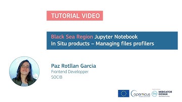 Jupyter Tutorial - Black Sea - Managing In Situ data from profilers