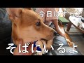 おかあさん2回目のワクチンでダウン