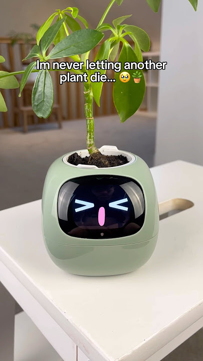 Get yours from the link in our profile! 🌿🪴