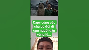 capy và bộ đội đi cứu dân vùng lũ... #funny #capybara