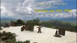 Tinh Hoa NIKAYA – Thiền Quán – Trái Tim Của Đức Phật