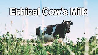 Can Vegans Drink Cow's Milk? | Gopal Farm