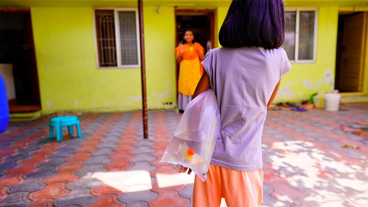 முதல் முறையா தனியாவே பொய் வாங்கிட்டு வந்த புதுவிதமான மீன். |New Fishes came | Mrs.Abi 2.0