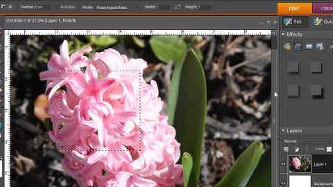 Digital Scrapbooking Designer Tutorial:  Creating Pattern Paper