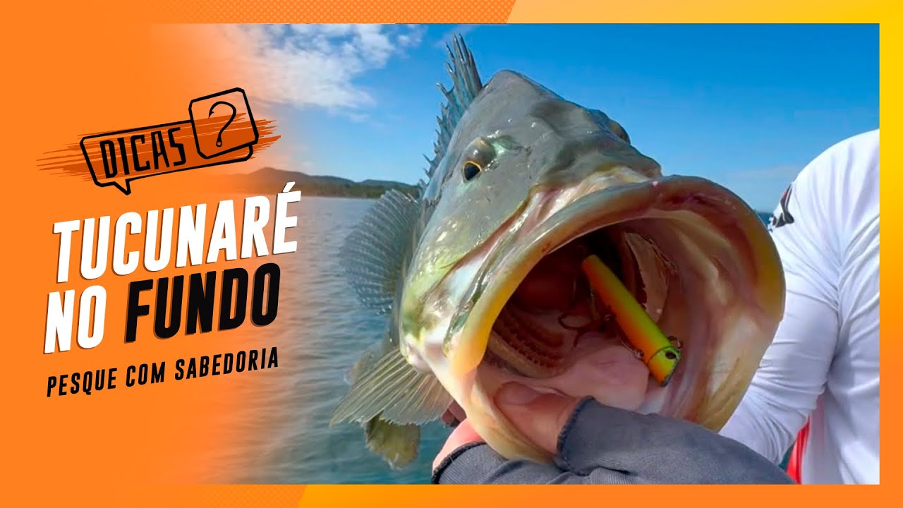 O SEGREDO DA PESCA NO FUNDO, TÉCNICAS INFALÍVEIS PARA GRANDES CAPTURAS