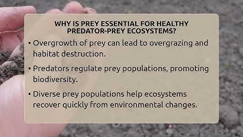 Why Is Prey Essential For Healthy Predator-prey Ecosystems? - Ecosystem Essentials