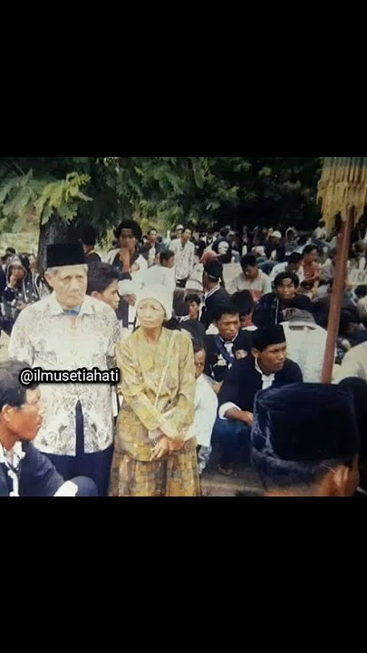 story wa ikspi,pshw,psht,pagar nusa #shorts #ikspi #pshw #psht #pagarnusa #gubes #penakseduluran