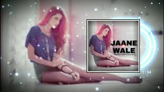 Jaane Wale Remix | Aftermorning | B Praak | Payal Dev
