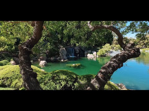 Video: Jardín de la amistad japonesa en Phoenix, Arizona