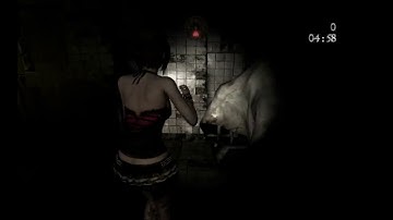 Fatal Frame 4 lens - Track