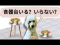 犬用食器台、決め手となるのは？【本当のメリット＆デメリット】