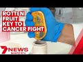 Rotten fruit could be the key to fighting cancer  | 7NEWS