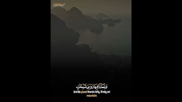 تلاوة خاشعة من سورة المرسلات بصوت القارئ رزكار الكردي