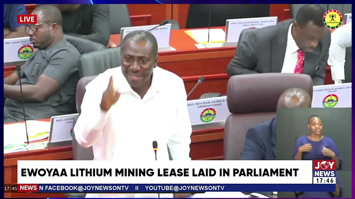Ewoyaa lithium mining lease: We want to be guided by principles - Afenyo Markin, Minority Leader.