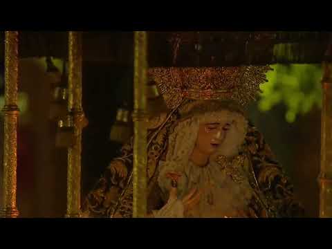 Antigua e Ilustre Hermandad del Santísimo Sacramento, María Santísima de las Nieves y Ánimas Benditas del Purgatorio y Pontificia y Real Archicofradía de Nazarenos de Nuestro Padre Jesús de las Tres Caídas, Nuestra Señora de Loreto y Señor San Isidoro