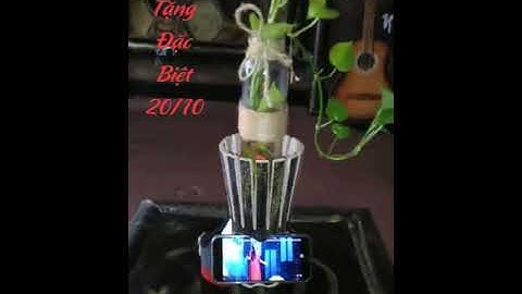 Qùa tặng 20 tháng 10