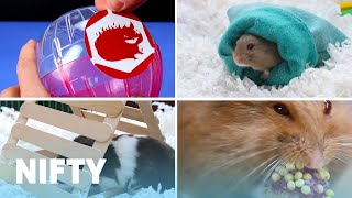 Cute And Cuddly DIY Projects For Your Hamster