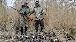 Охота на утку (duck hunting in Uzbekistan) 2023