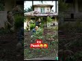 bahay na trending #funnyvideo  trending na bahay #batodelarosa #atongang #harryroque #zaldyco