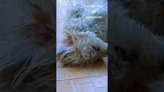 Don't disturb plz