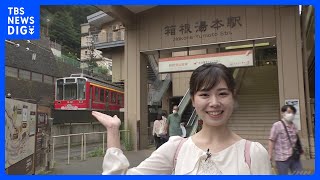 箱根のあじさい電車【SUNトピ】｜TBS NEWS DIG