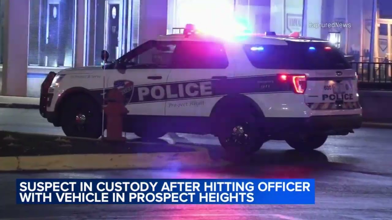 Prospect Heights police officer and bar employee hit by vehicle while trying to break up fight