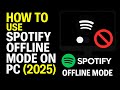 How to Use Spotify Offline Mode on PC (2025 Step-by-Step Tutorial)