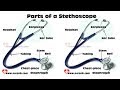 Parts of a Stethoscope
