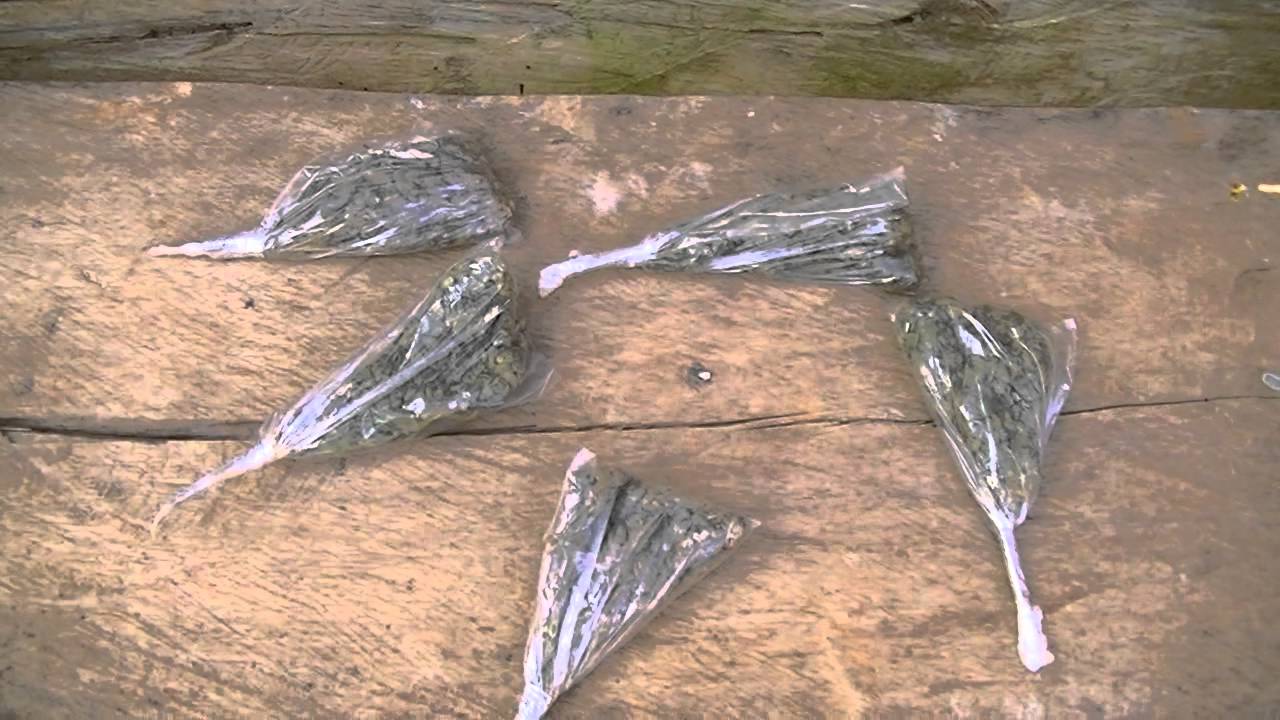 Jamaica 2012 Buying Buds