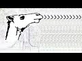Aminu Ala TADAKURA Short Clip Aminu Ala TADAKURA Short Clip