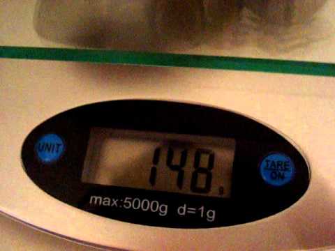 video phone beyonce mp3 Reptile Weigh-In (10-12-10)
