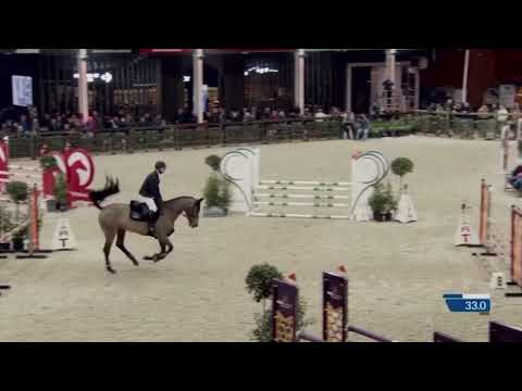 Kastell an Taro DK 5 year old Stallion Competition Lier