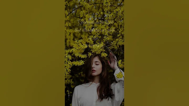 Daily Gratitude Quotes