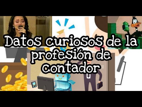 ¿Cómo Describe La Contabilidad Como Profesión?