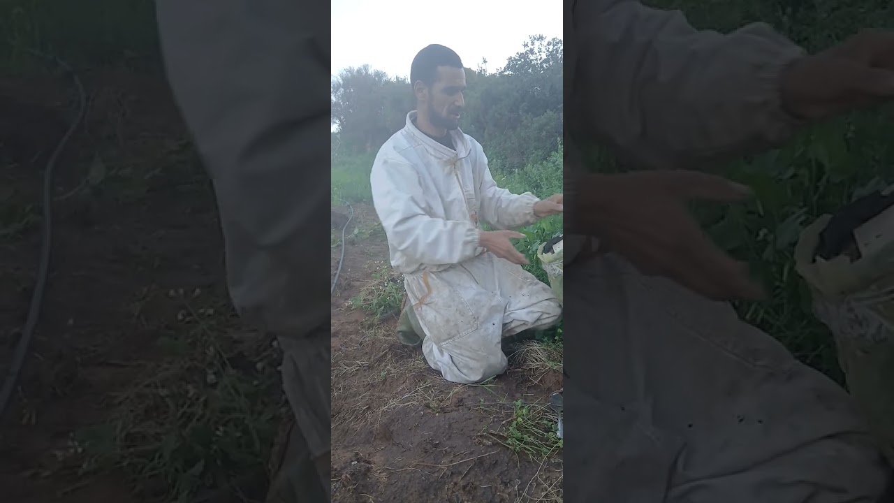 طريقة صيد.طرود