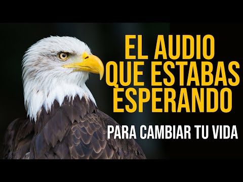 Hoy nuestro consejillo es que te preguntes si eres original o uno ms. Nosotros te aconsejamos que seas original, por supuesto y para ello hemos trado, en el da de las aves, a una gaviota muy especial llamada Juan Salvador (obra literaria del gran Richard Bach)